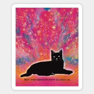 Never underestimate the power of a black cat. Black cat on an abstract background Magnet